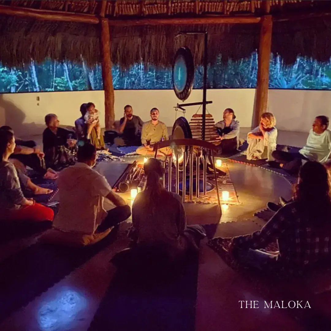 Surrender to Remember — Plant Medicine Retreat