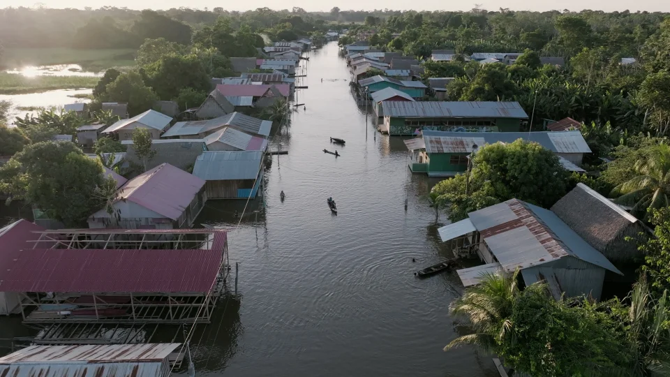 The Ucayali river and Amazonian jungle, Peru