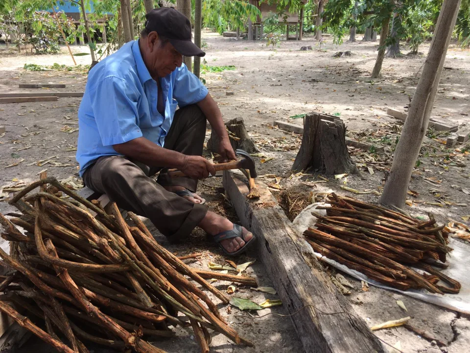 Ayahuasca preparation in the village of Paohyan, Ucayali