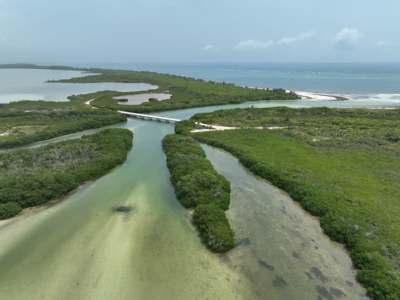 Sian Ka'an biosphere reserve — cenote and coastline